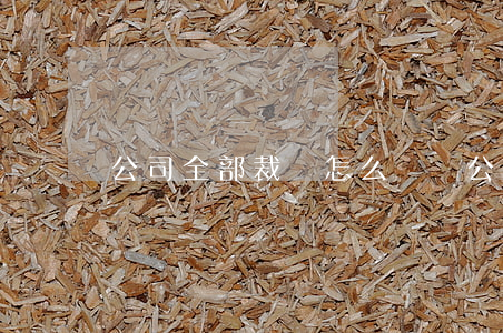 公司全部裁員怎么賠償（公司裁員的法定條件）