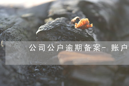 公司公户逾期备案-账户超期备案 说明