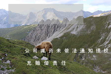 公司减资未依法通知债权人，公司股东承担补充赔偿责任
