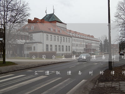 公司分立债权债务纠纷律师费多少-公司分立债权债务纠纷律师费多少钱