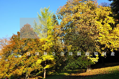 公司分立合同糾紛如何處理