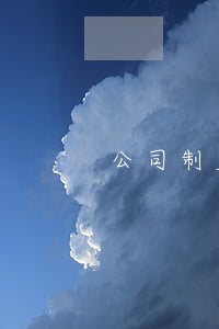 公司制度范本(公司制度范本簡約) 公司制度范本(公司制度范本簡約)