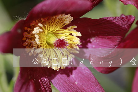 公司勞動(dòng)合同與社保繳納問答