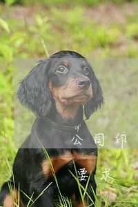 公司印章有哪些（刻制公司印章有什么特别的要求）