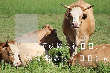 公司可以做法律顧問(wèn)嗎(什么樣的公司需要法律顧問(wèn))