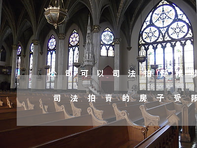 公司可以司法拍賣限購(gòu)的房子嗎(司法拍賣的房子受限購(gòu)政策影響嗎?)