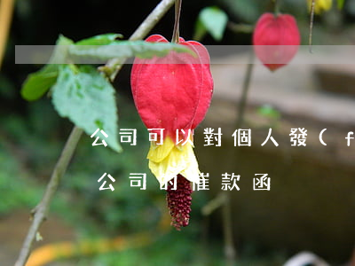 公司可以對個人發(fā)催款函嗎(公司對公司的催款函)