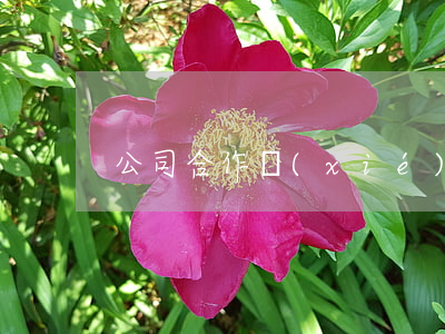 公司合作協(xié)議合同范本