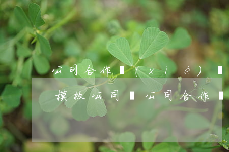 公司合作協(xié)議書(shū)合同模板(公司與公司合作協(xié)議書(shū)范本)