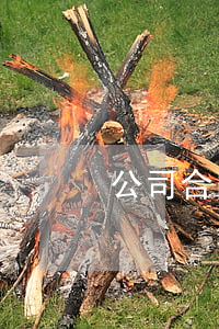 公司合同模板