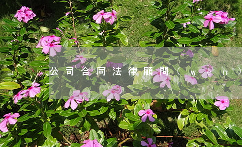 公司合同法律顧問(wèn)一般工資多少