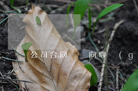 公司合同糾紛向哪個(gè)部門投訴