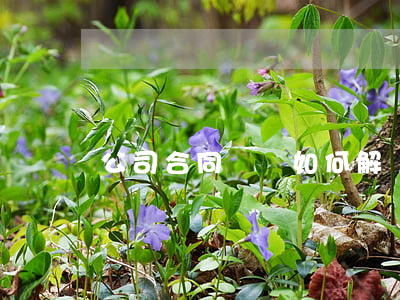 公司合同糾紛如何解決(合同糾紛及解決方式)