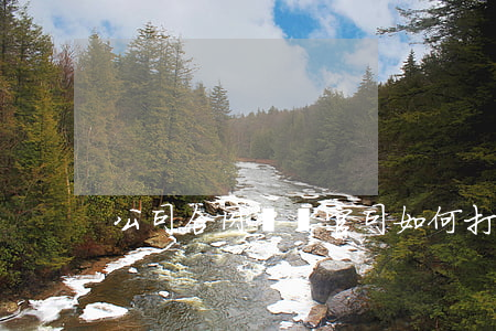 公司合同糾紛官司如何打2年