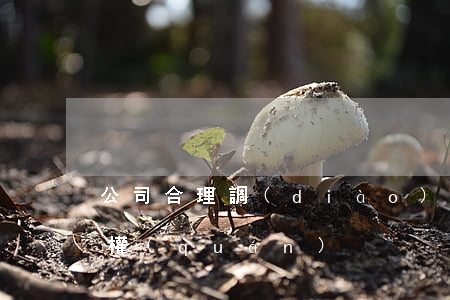 公司合理調(diào)整員工崗位不涉侵權(quán)
