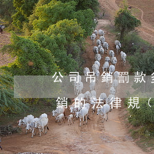 公司吊銷罰款多少(關(guān)于公司吊銷的法律規(guī)定)
