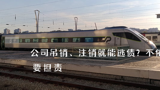 公司吊销、注销就能逃债？不依法清算股东要担责！