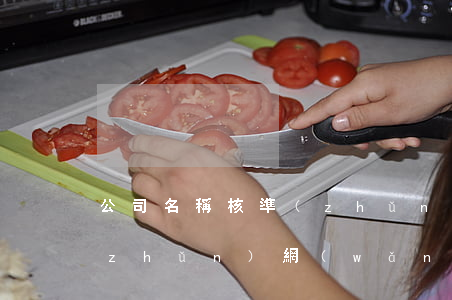 公司名稱核準(zhǔn)，公司名稱核準(zhǔn)網(wǎng)上查詢
