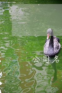 公司名稱變更函(公司名稱變更函通知范文)