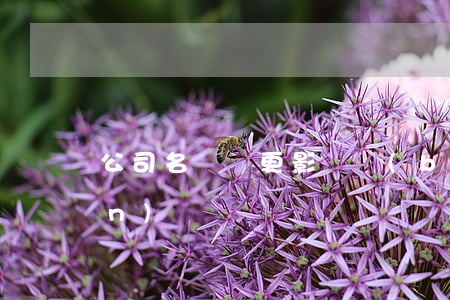 公司名稱變更影響報(bào)關(guān)嗎