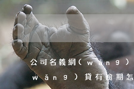 公司名義網(wǎng)貸逾期怎么辦(網(wǎng)貸有逾期怎么辦)