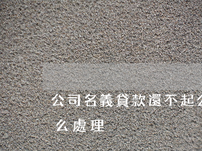 公司名義貸款還不起(公司名義貸款還不起怎么處理)