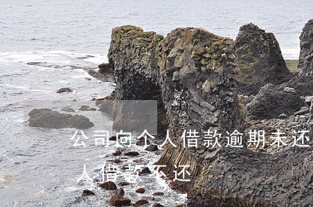 公司向个人借款逾期未还怎么起诉(公司向个人借款不还)