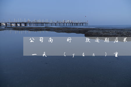 公司向銀行貸款逾期后果(公司銀行貸款逾期一天嚴(yán)重嗎)