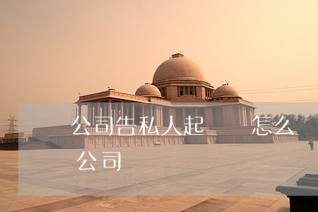 公司告私人起訴書怎么寫(個(gè)人起訴公司訴訟狀)