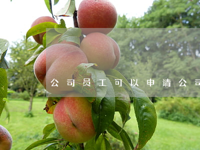 公司员工可以申请公司破产吗