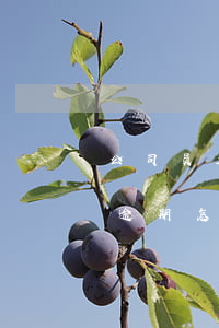 公司员工逾期不体检的怎么处理-单位体检逾期怎么办