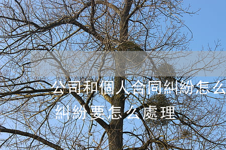 公司和個人合同糾紛怎么處理(公司之間合同糾紛要怎么處理)
