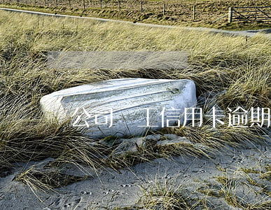 公司員工信用卡逾期證明怎么寫(xiě)