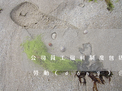 公司員工福利制度包括哪些內(nèi)容（勞動(dòng)合同中沒有約定工資報(bào)酬怎么辦）