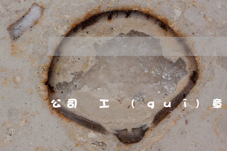 公司員工規(guī)章制度