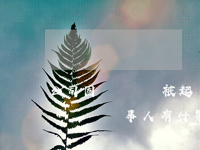 公司因債務糾紛被起訴有什么影響(債務糾紛敗訴對當事人有什影響)