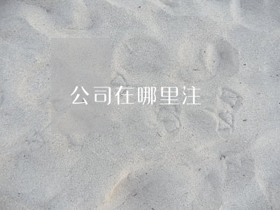 公司在哪里注冊