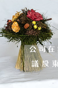 公司在無(wú)可分配利潤(rùn)決議股東的利潤(rùn)以借據(jù)形式的法律風(fēng)險(xiǎn)