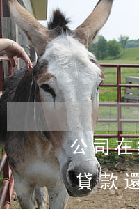 公司在銀行貸款還不起錢怎么辦（公司在銀行貸款還不起）