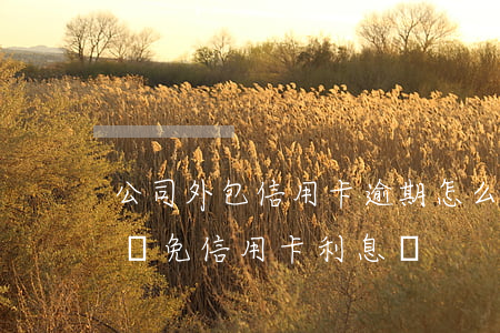 公司外包信用卡逾期怎么辦(外包公司有權利減免信用卡利息嗎)