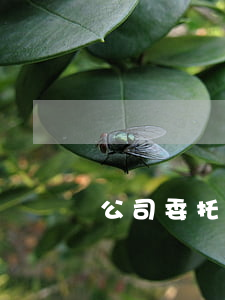 公司委托律師授權書(律師代理授權委托書)