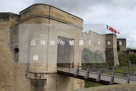 公司宣布破產(chǎn)剩余債務怎么賠償