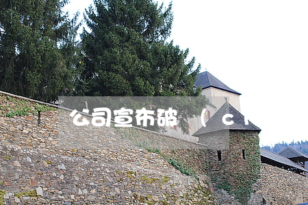 公司宣布破產(chǎn)后有補(bǔ)貼嗎