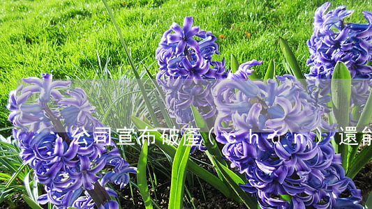 公司宣布破產(chǎn)還能申請仲裁嗎