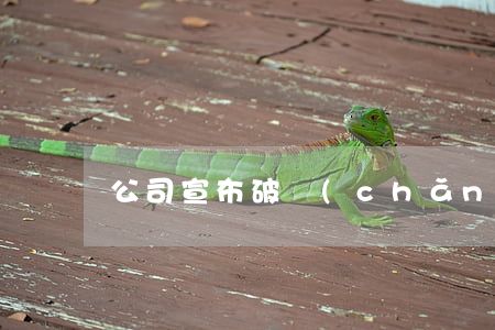 公司宣布破產(chǎn)需要得股東同意嗎