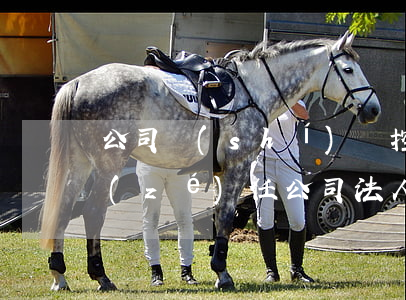 公司實(shí)際控制人和法人的法律責(zé)任(公司法人和實(shí)際控制人承擔(dān)的法律責(zé)任)