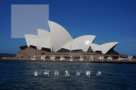 公司对私企合同纠纷如何处理(私企与员工发生纠纷怎么解决)