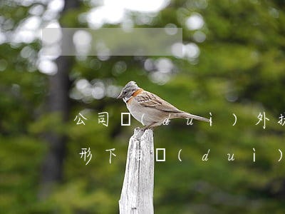 公司對(duì)外提供擔(dān)保情形下相對(duì)人的審查義務(wù)探析
