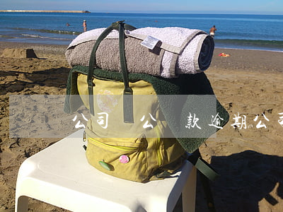 公司對公貸款逾期(公司對公貸款逾期)