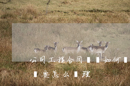 公司工程合同糾紛如何處理(公司之間合同糾紛要怎么處理)